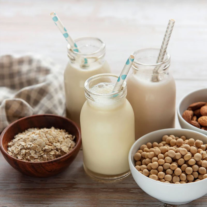 Dairy and Milk Plants